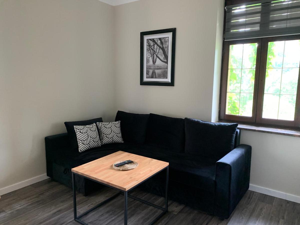 Apartamenty Villa Akant Piechowice  Εξωτερικό φωτογραφία