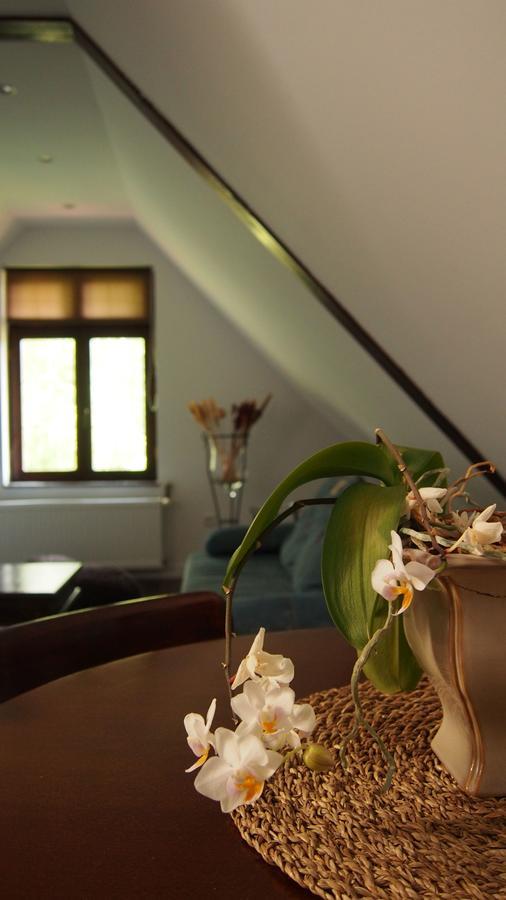 Apartamenty Villa Akant Piechowice  Εξωτερικό φωτογραφία